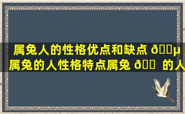 属兔人的性格优点和缺点 🌵 ,属兔的人性格特点属兔 🐠 的人性格和脾气